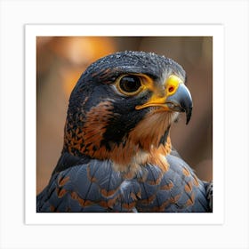 Falcon 4 Art Print