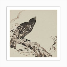 Crow On A Branch Art Print