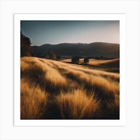 Sunset In A Field 3 Art Print