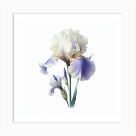 Flower of Iris Art Print