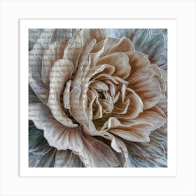 Peony 2 Art Print