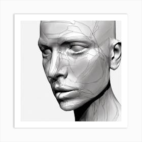 Woman'S Head 3 Art Print