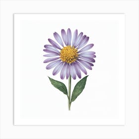 Aster Art Print