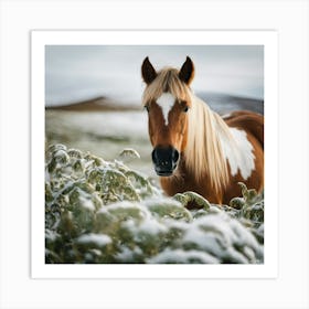 Horse In The Snow 3 Art Print