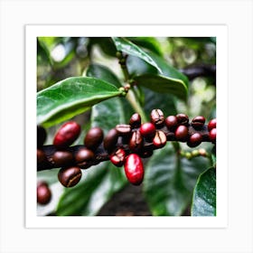 Coffee Beans On A Tree 19 Art Print