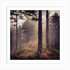 Foggy Forest Art Print