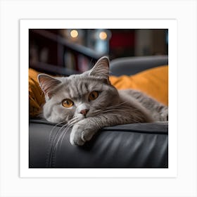 Grey Cat Laying On Couch Art Print