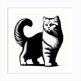 British Shorthair Cat Art Print