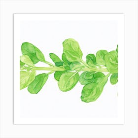 Green Swiss Chard Art Print