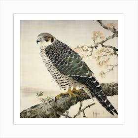 Ohara Koson Inspired Bird Painting Falcon 5 Square Art Print