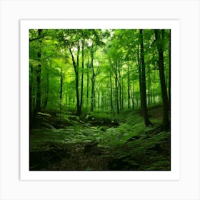 Firefly Emerald Green Forest Enhances Green Tones For Lush, Vibrant Foliage 1 Art Print