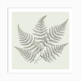 Line Art fern leaves 2 Art Print