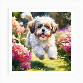 Shih Tzu Art Print