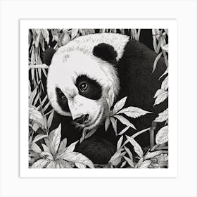 Panda Bear In The Jungle Art Print