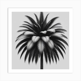 Palm Tree 4 Art Print