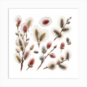 Flowers of Catkin 3 Art Print