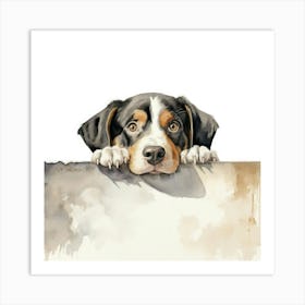 Bernese Mountain Dog 8 Art Print