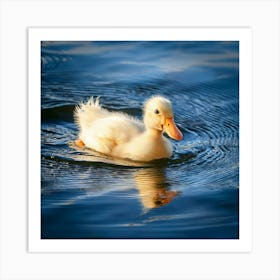 Firefly Cute Baby Ducklings Swimming In Serene Lake 74835 (2) Art Print