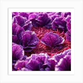 Purple Cabbage 8 Art Print