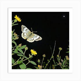 Butterfly At Night 3 Art Print