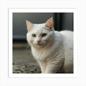 White Cat 1 Art Print