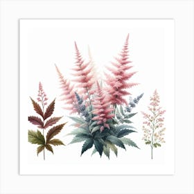 Astilbe 3 Art Print