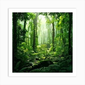 Firefly Rainforest Forest Background 81303 Poster