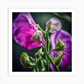 Sweet Peas Art Print