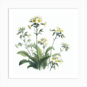 Flowers of Cowslip 2 Art Print