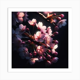 Cherry Blossoms 12 Art Print