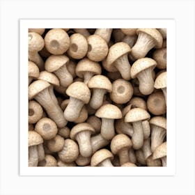 Close Up Of Mushrooms Art Print