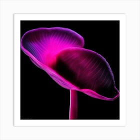 Purple Calla Lily Art Print