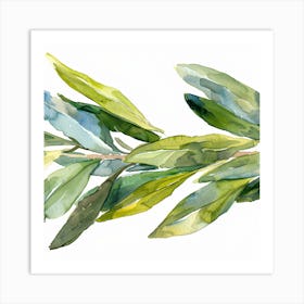 Olive Branch Watercolor Painting 1 Art Print