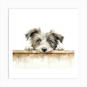 Border Collie 14 Art Print