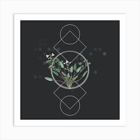 Vintage Starfruit Botanical with Geometric Line Motif and Dot Pattern Art Print