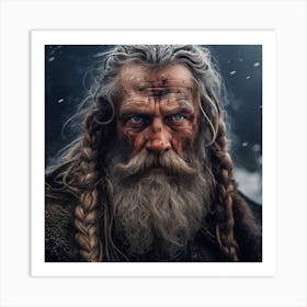 Viking 1 Art Print