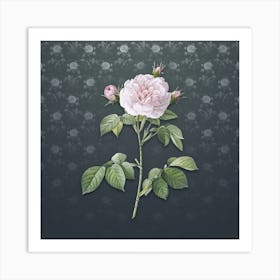 Vintage Rosa Alba Botanical on Slate Gray Pattern n.0125 Art Print