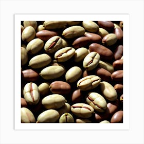 Coffee Beans 259 Art Print