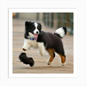 Bernese Mountain Dog 1 Art Print