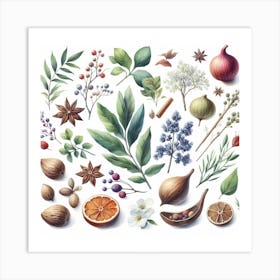 Herbs 1 Art Print