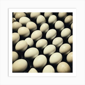 White Eggs In A Tray Art Print