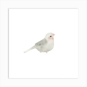 Blushing Bird Grey  Square Art Print