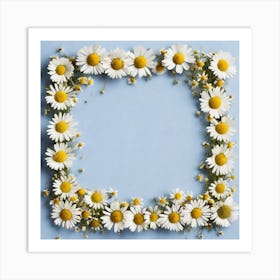 Frame Of Daisies Art Print