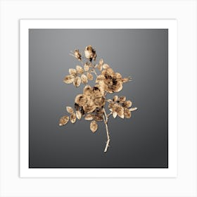 Gold Botanical Austrian Briar Rose on Soft Gray n.2530 Art Print