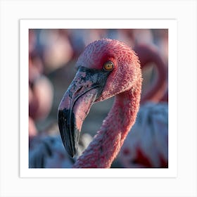 Flamingos 10 Art Print