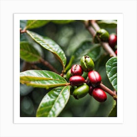 Coffee Beans On A Tree 44 Art Print