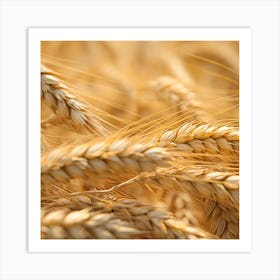 Golden Wheat 1 Art Print