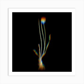 Prism Shift Allium Foliosum Botanical Illustration on Black n.0260 Art Print