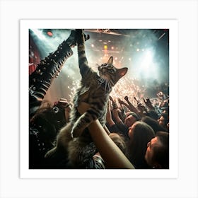 Cat At A Concert 5 Art Print