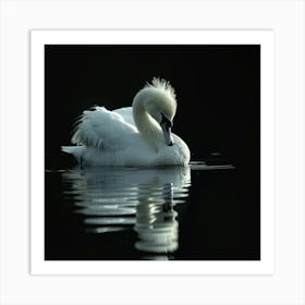 White Beautiful Swan Art Print